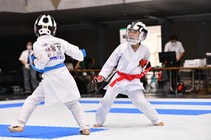 第22回　全日本少年少女空手道選手権大会のイメージ写真